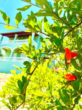 Green Hill House, Corfu'